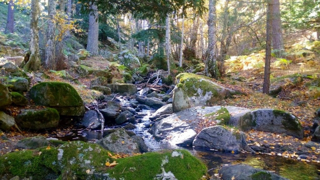 nuevo canal de youtube