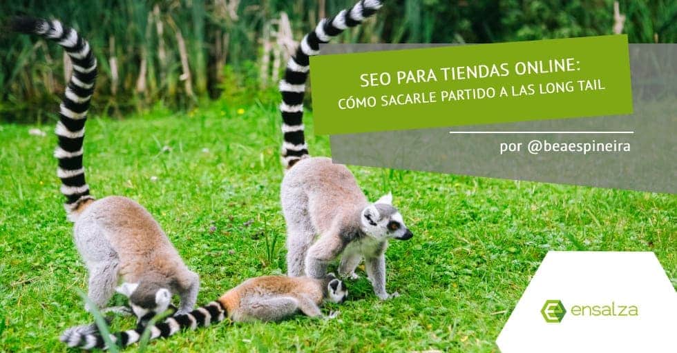 portada articulo longtail para ecommerce