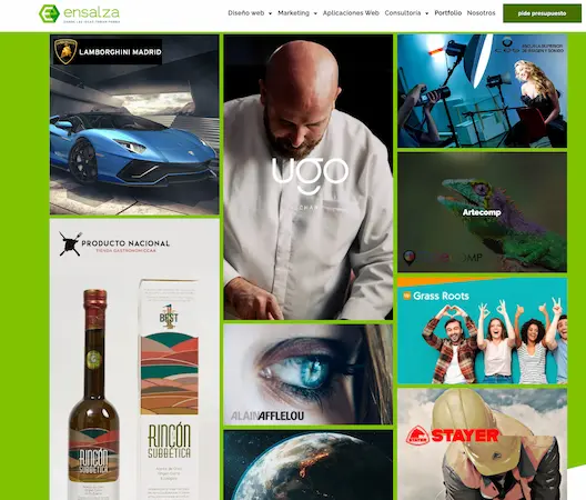 los proyectos web de ensalza