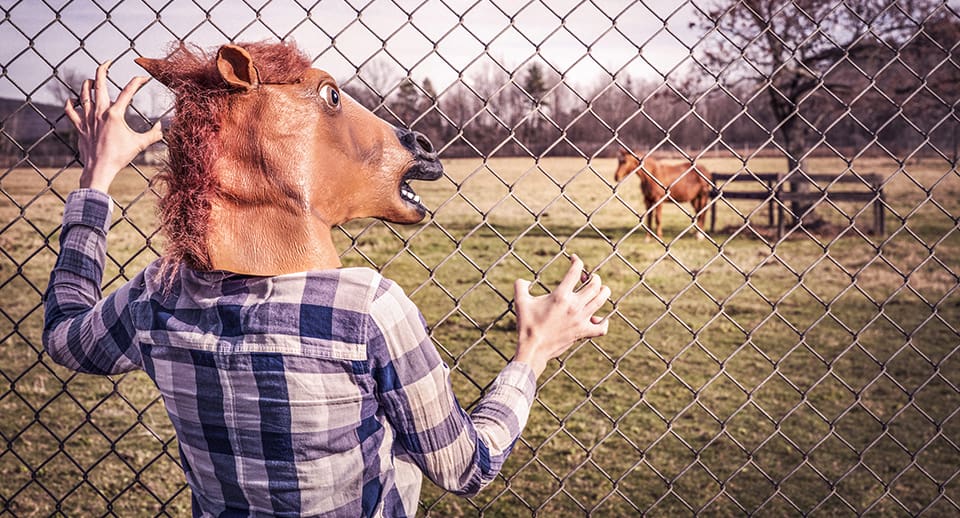 formas llamar rotador imagenes pagina web