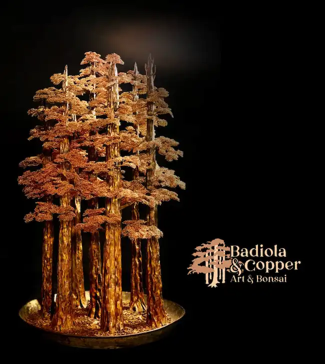 Imagen de la página web badiola-copper diseñada por Ensalza