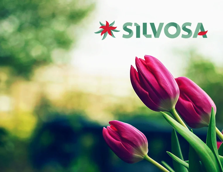 tienda online de flores y plantas