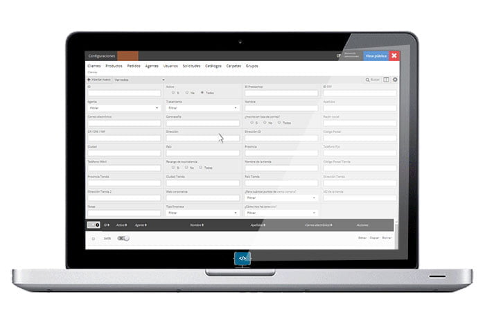 desarrollo web a medida en agencia ensalza