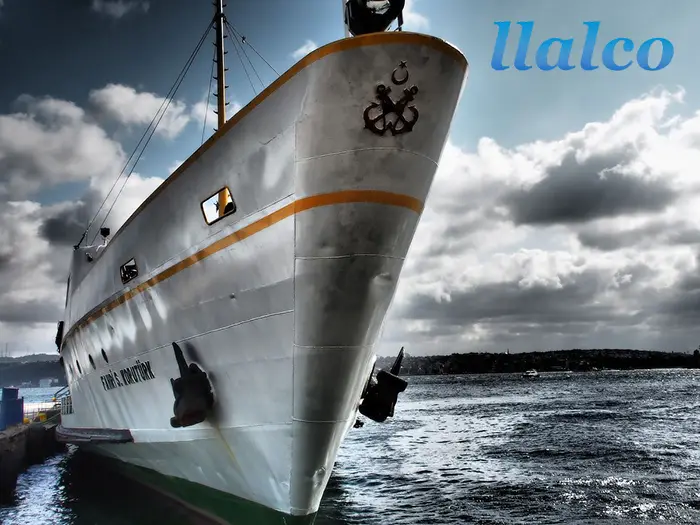 pagina web sector naval llalco