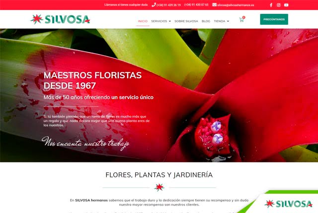 Desarrollo tienda online floristeria